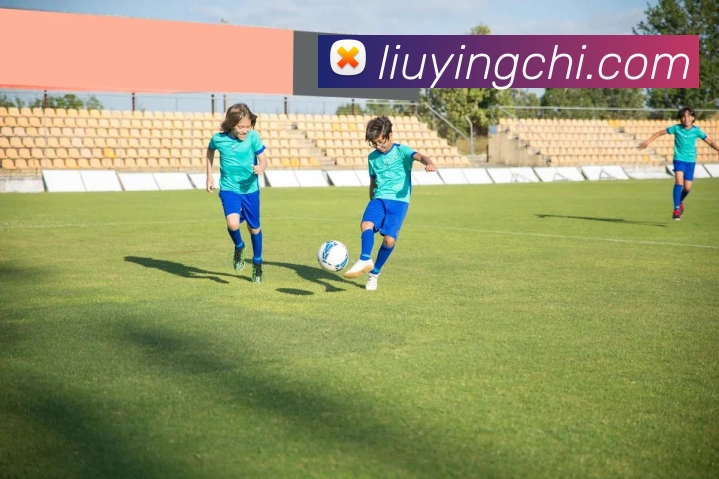 多媒体互动体验