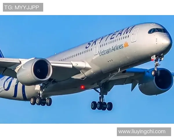 喷气机与墨尔本历史的碰撞探索城市文化与航空发展的交汇点