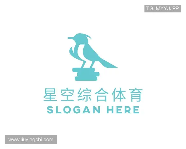 发现星空综合体育